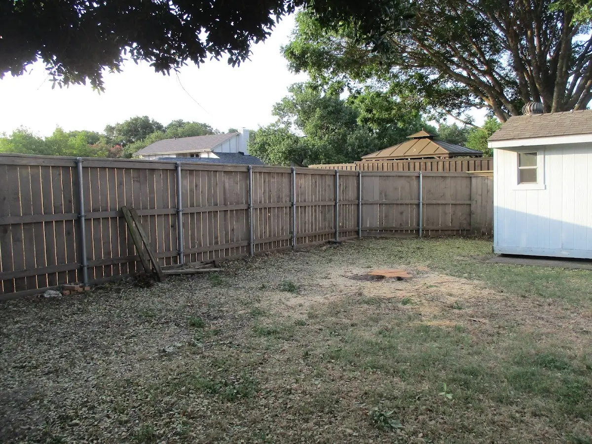 Cleared yard after professional tree removal in Paw Paw